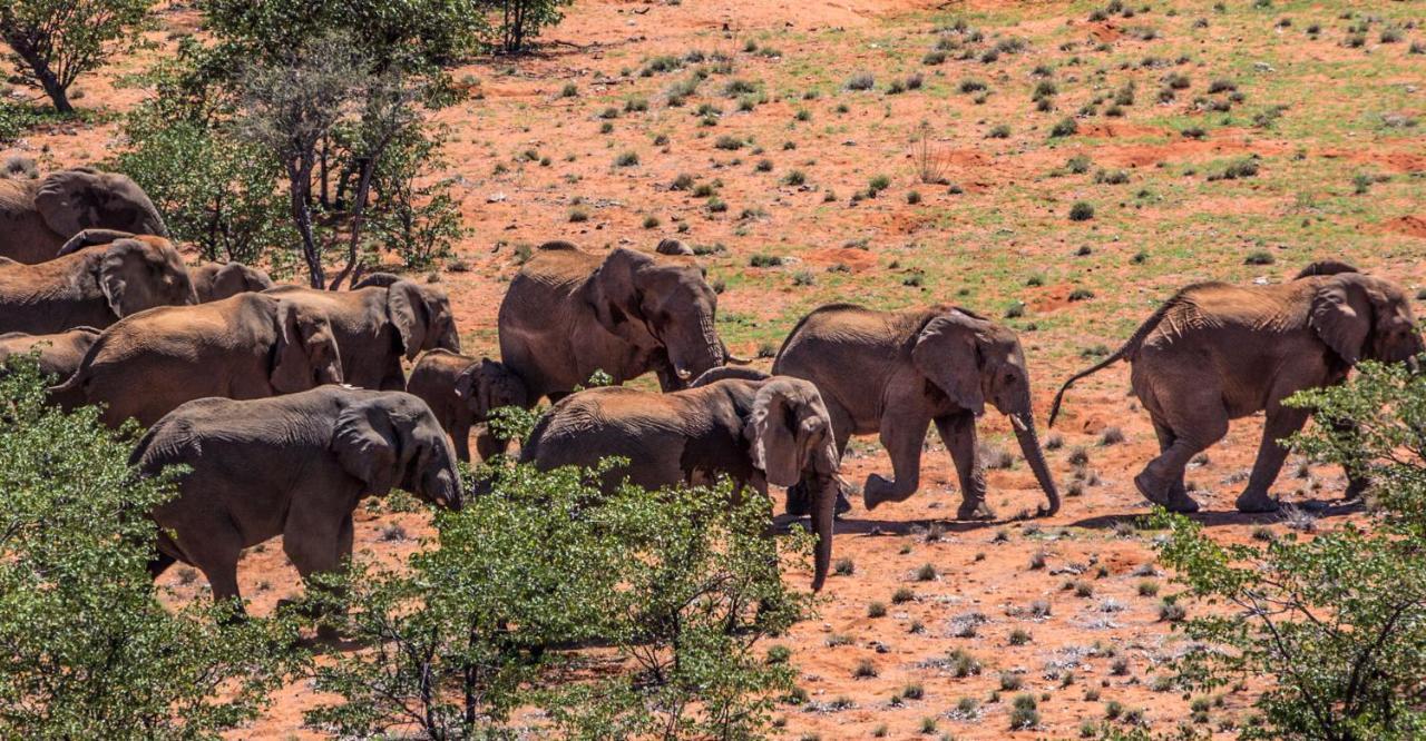 Grootberg Lodge Damaraland Dış mekan fotoğraf