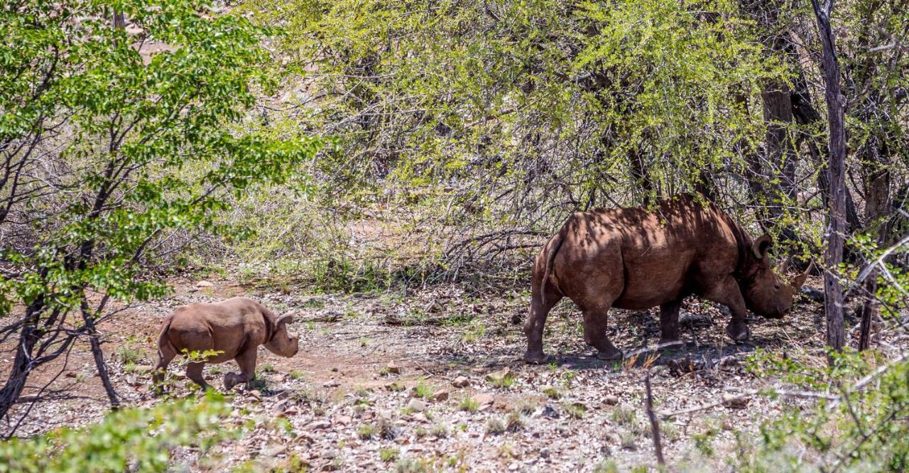 Grootberg Lodge Damaraland Dış mekan fotoğraf