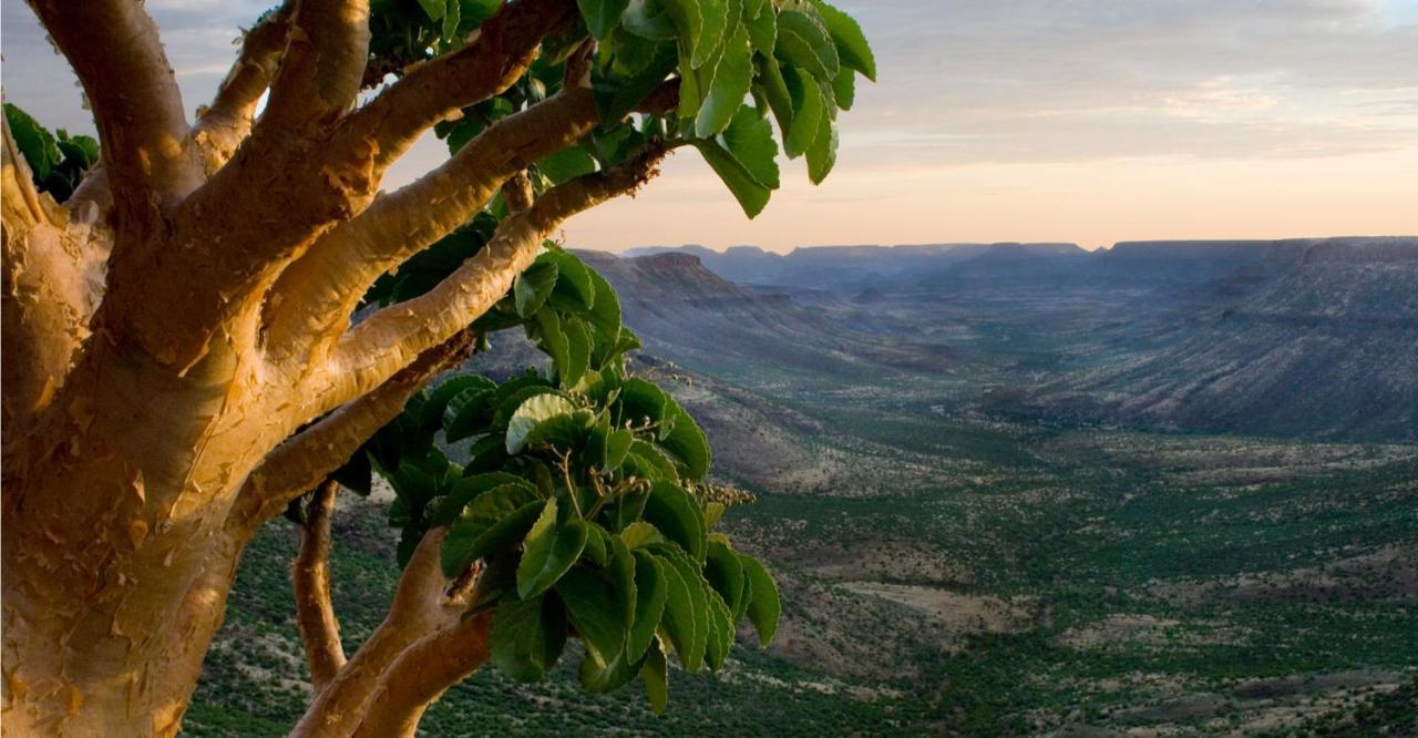 Grootberg Lodge Damaraland Dış mekan fotoğraf