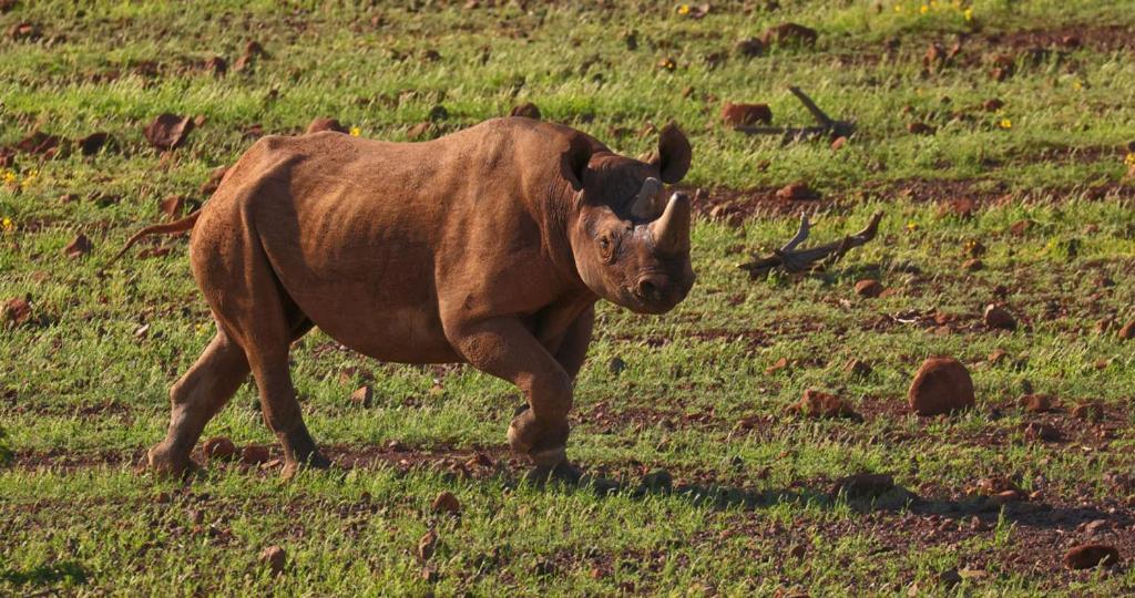 Grootberg Lodge Damaraland Dış mekan fotoğraf