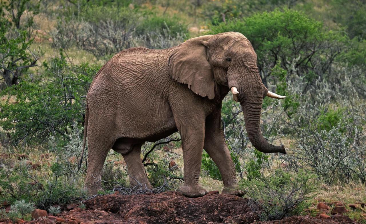 Grootberg Lodge Damaraland Dış mekan fotoğraf