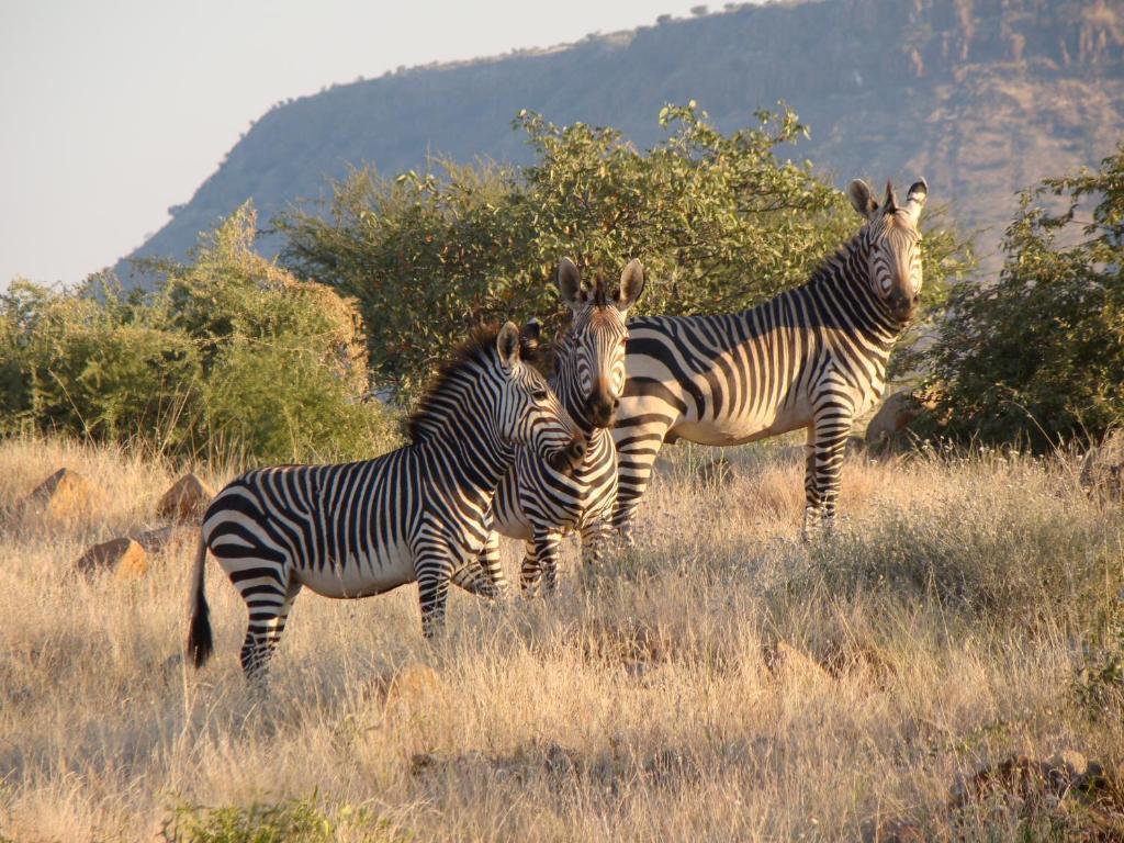Grootberg Lodge Damaraland Dış mekan fotoğraf