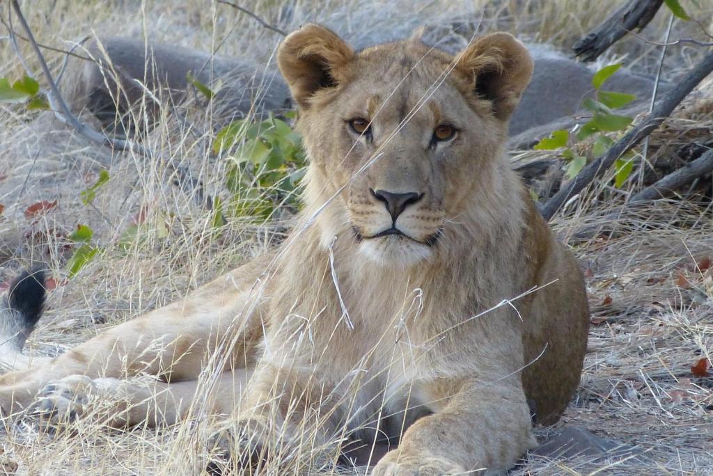Grootberg Lodge Damaraland Dış mekan fotoğraf