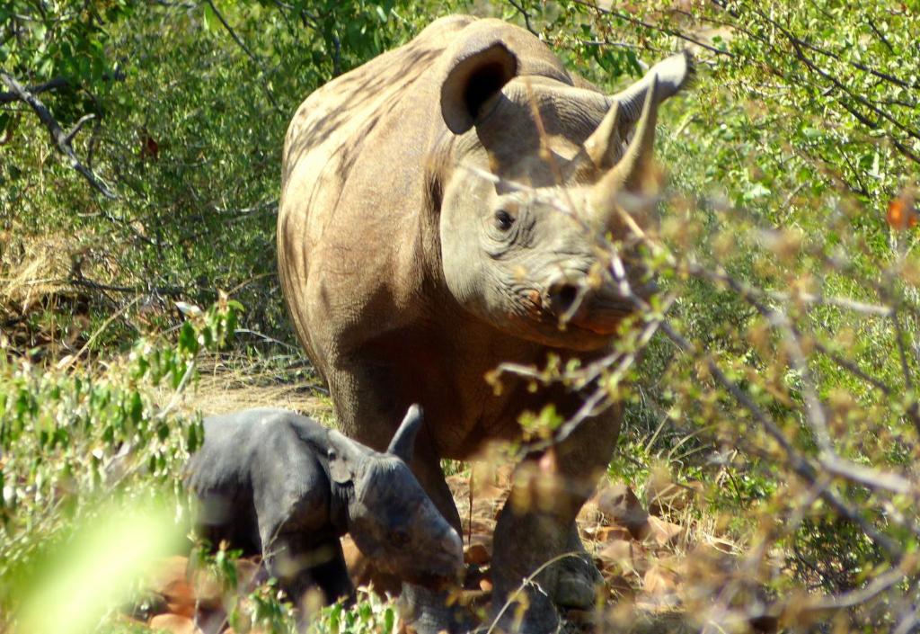 Grootberg Lodge Damaraland Dış mekan fotoğraf