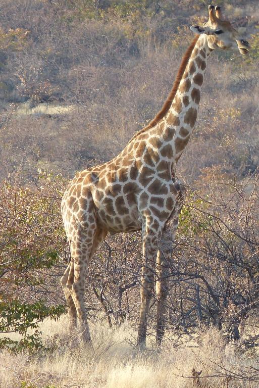 Grootberg Lodge Damaraland Dış mekan fotoğraf