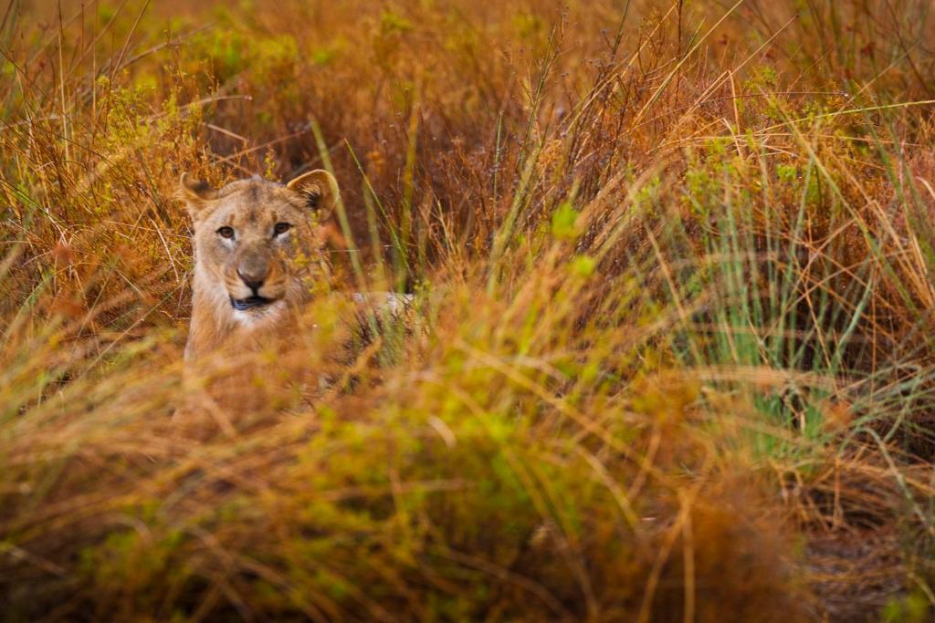 Grootberg Lodge Damaraland Dış mekan fotoğraf