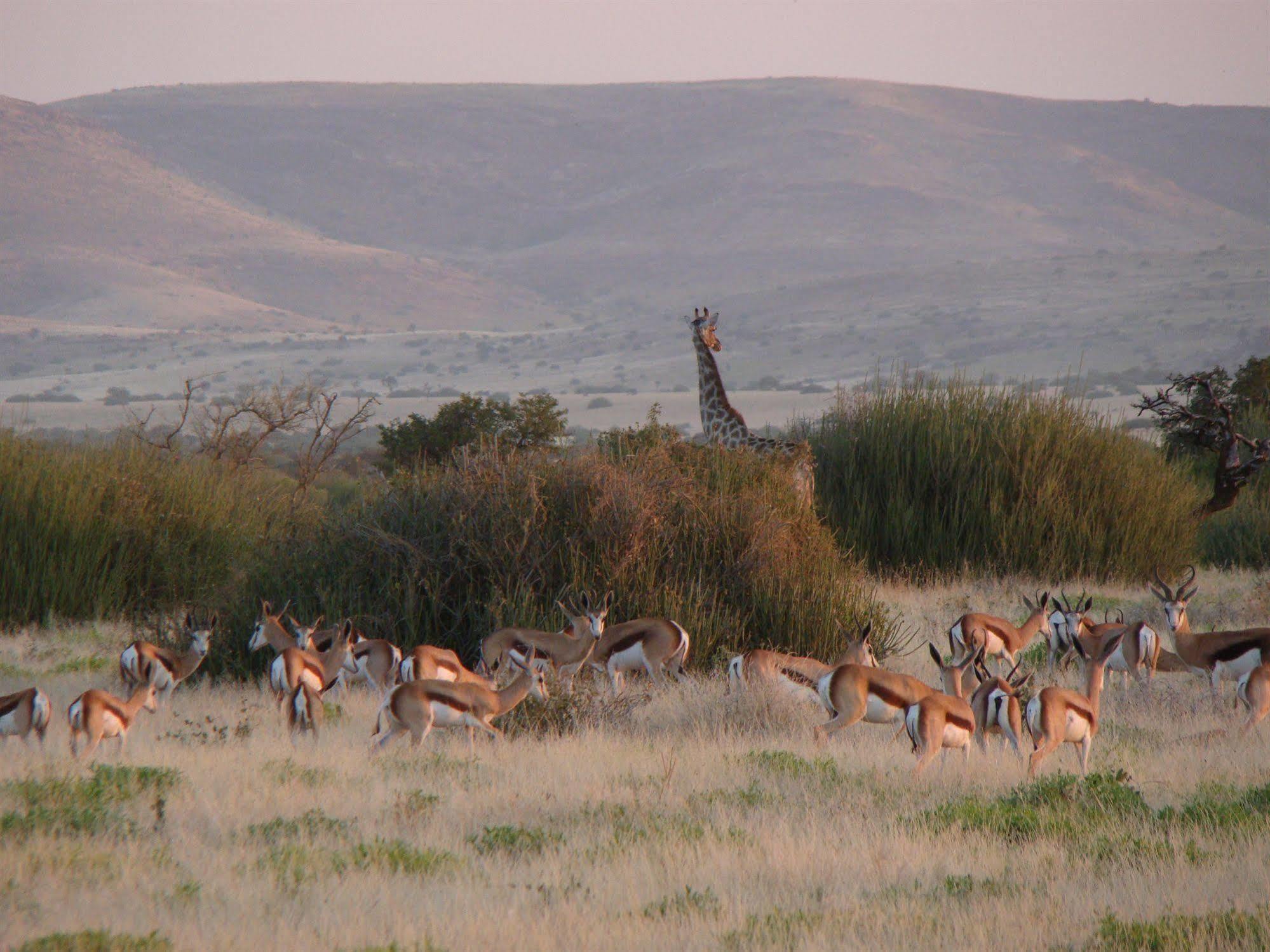 Grootberg Lodge Damaraland Dış mekan fotoğraf