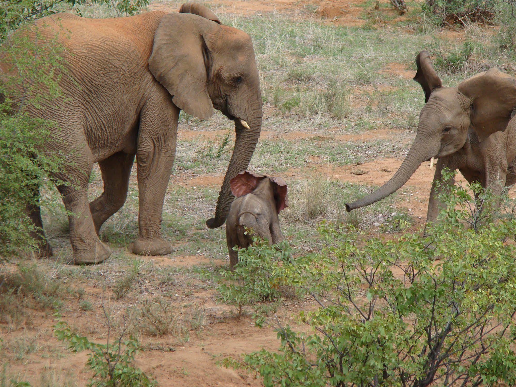 Grootberg Lodge Damaraland Dış mekan fotoğraf