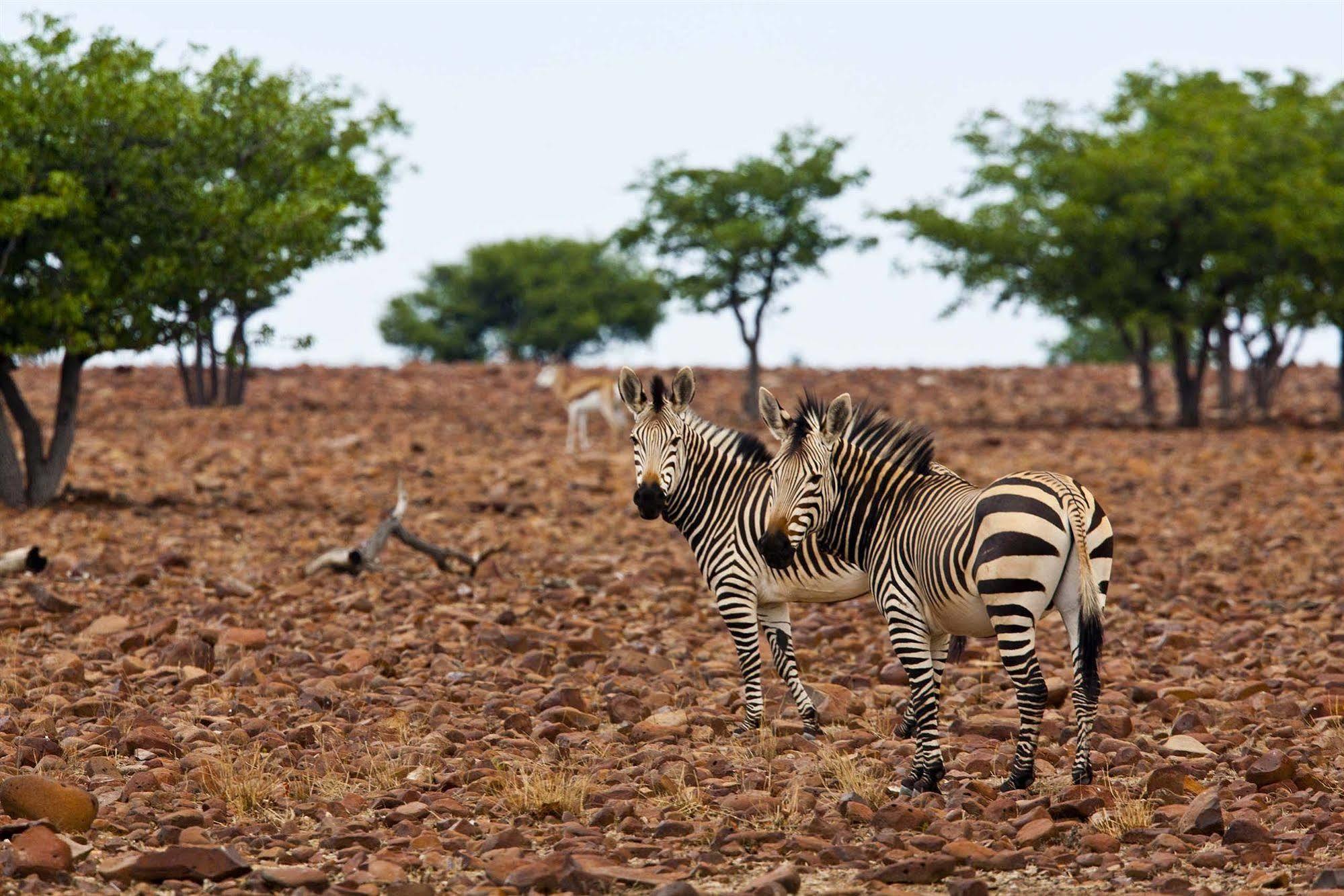 Grootberg Lodge Damaraland Dış mekan fotoğraf