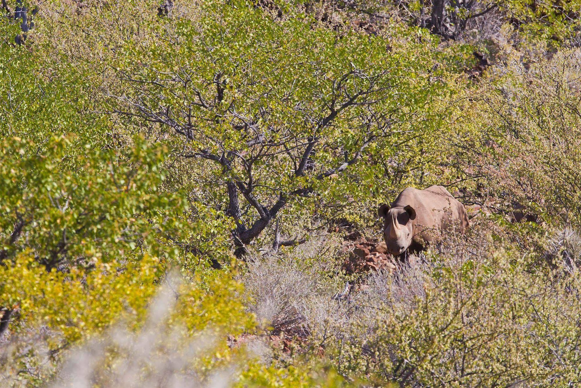 Grootberg Lodge Damaraland Dış mekan fotoğraf